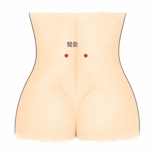 腎兪（BL23）の位置イラスト