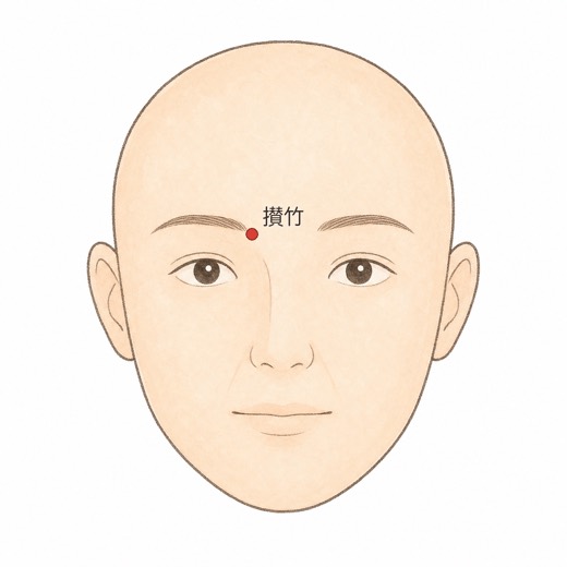 攅竹（BL2）の位置イラスト