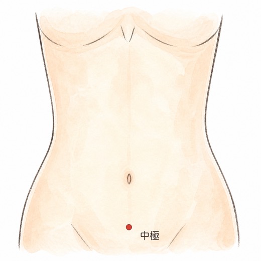中極（CV3）の位置イラスト