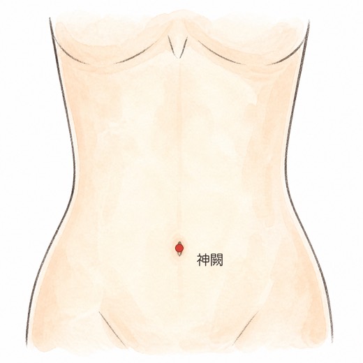 神闕（CV8）の位置イラスト