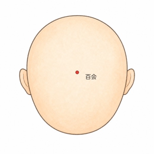 百会（GV20）の位置イラスト
