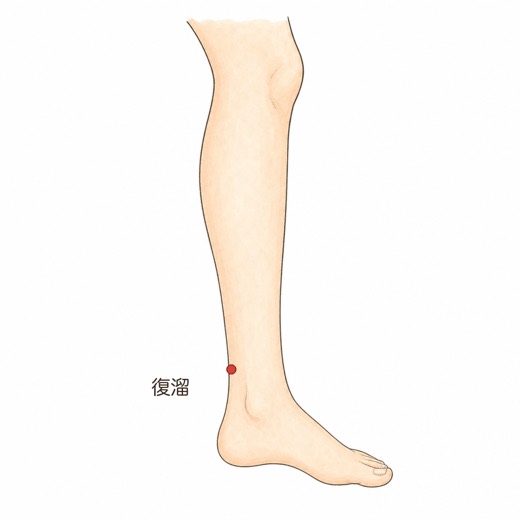 復溜（KI7）の位置イラスト