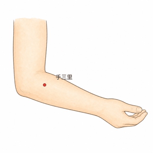 手三里（LI10）の位置イラスト