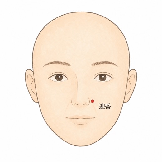 迎香（LI20）の位置イラスト