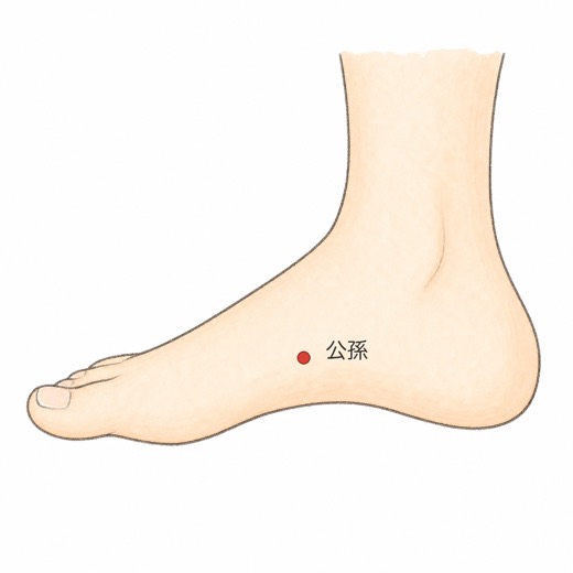 公孫（SP4）の位置イラスト
