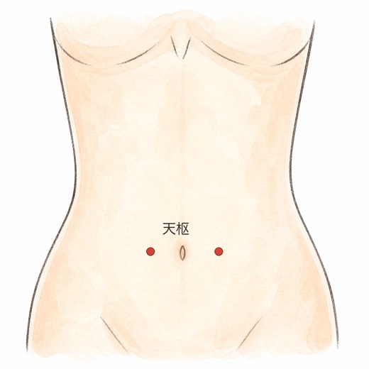 天枢（ST25）の位置イラスト