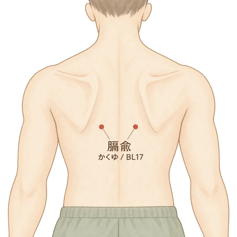 膈兪(BL17)の位置図